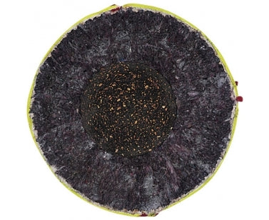 Leren Honkbal - Optic Yellow - Wedstrijd Honkbal - Trainings Honkbal (Geel)