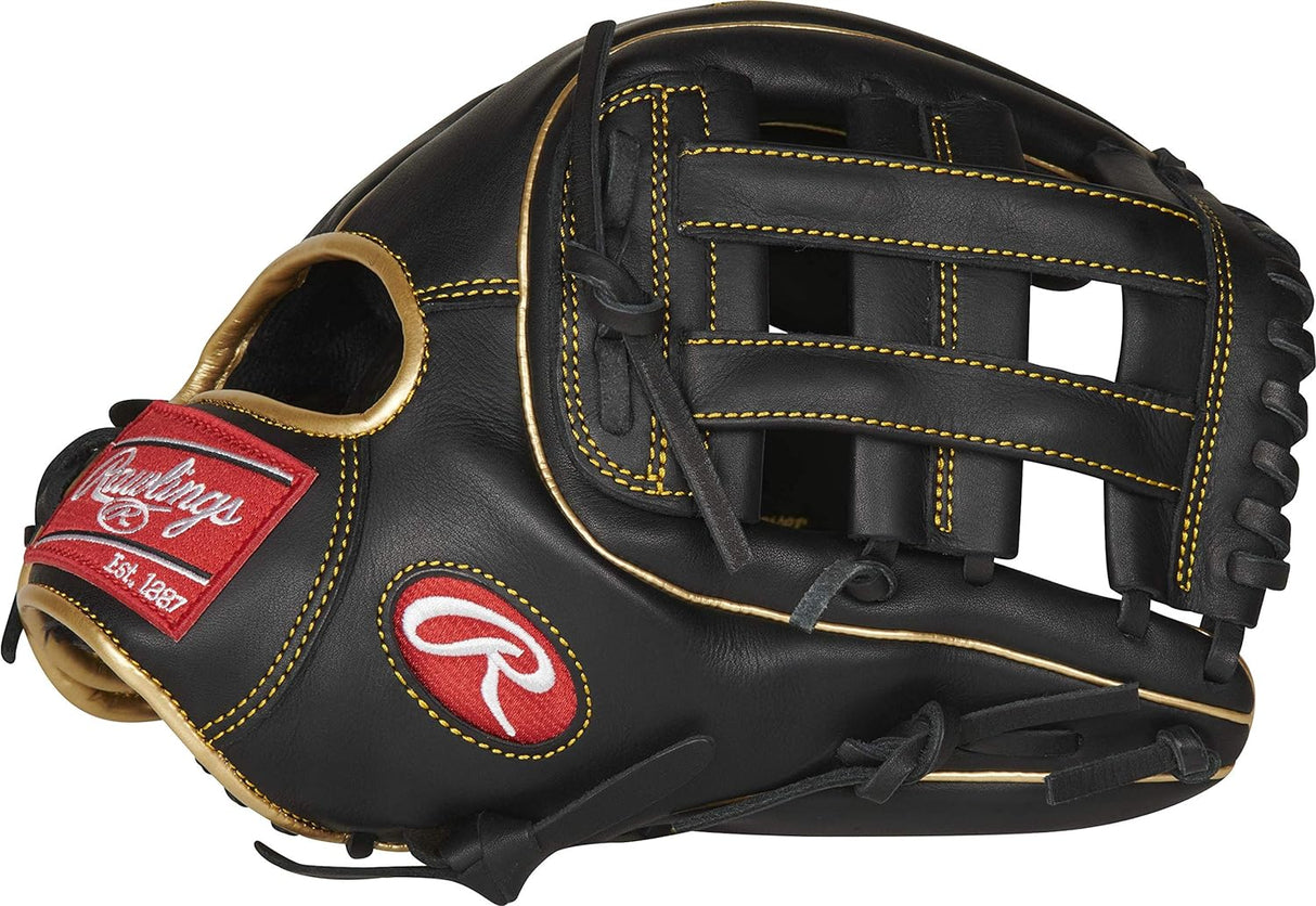 Baseball Glove - R9 Series - Full Leather - R9315-6BG - Pro H Web