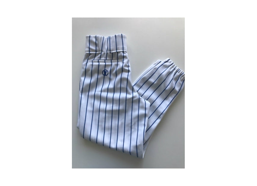 Nylon Honkbal Broek - Heren - Jeugd - Wit met Blauwe Pinstripe