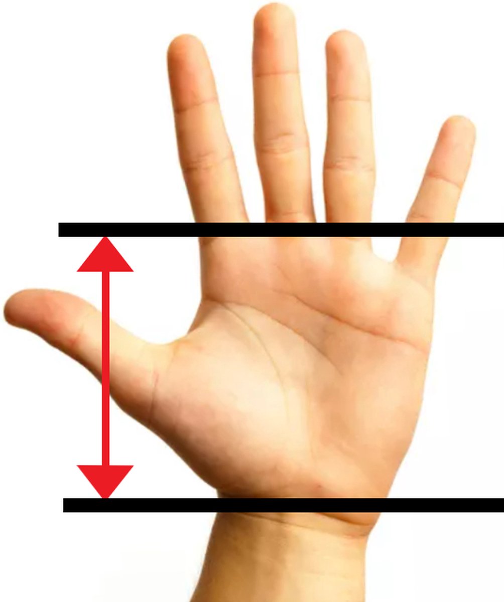 Beginners Recreatie Turnen Palm Grips (Roze)