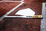 Softball bat Fastpitch FP2011 Ombre -11